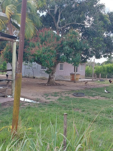 Imagen 7 de 16 de En Venta Finca En Maturin