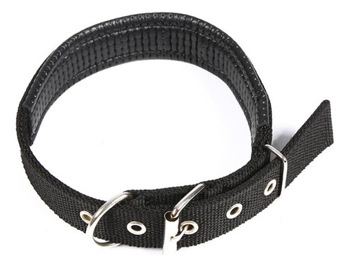 Hebillas De Nailon Ajustables Para Cachorros Y Gatos  Collar