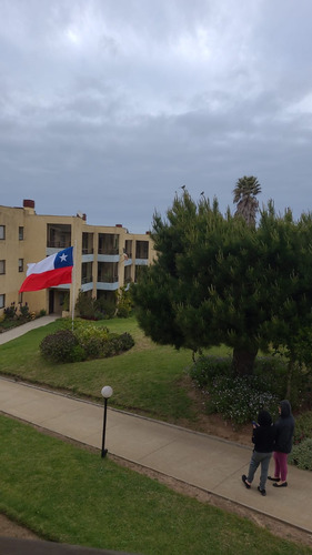 Arriendo Departamento Frente A Playa Quisco Norte