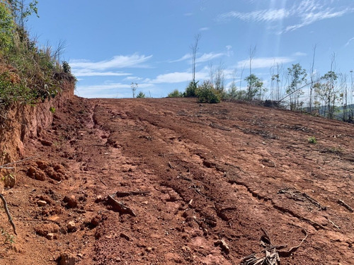 Imagem 19 de 24 de Ds-terreno Próximo De Igarata