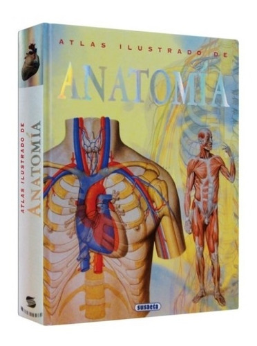 Atlas Ilustrado de Anatomia, de Rigutti, Adriana. Editorial Susaeta, tapa dura en español