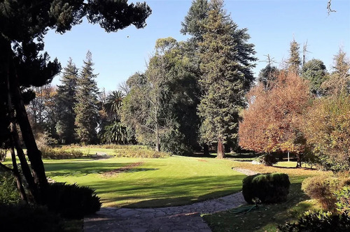 Sitio En Venta En Mostazal