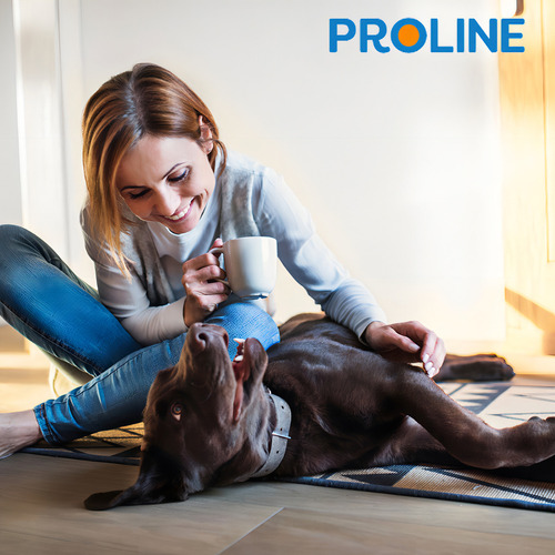 Ração Pet Life Frango Arroz Para Cães Sênior Médio/gde 15kg