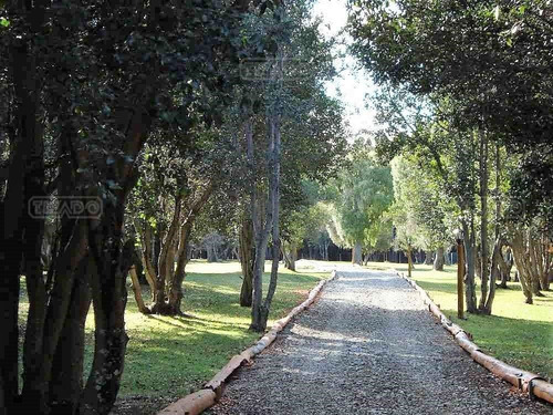 Terreno Fraccion En Venta Ubicado En Villa Lago Mascardi, Bariloche