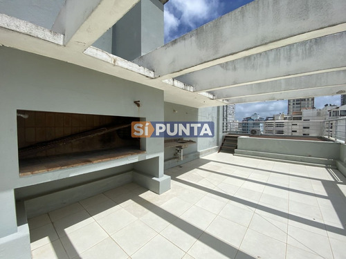 Imagen 21 de 22 de Apartamento En Alquiler - Peninsula