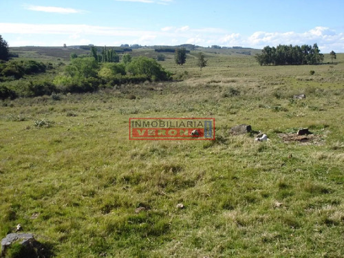 Campo 96 Has En Carape Cuenta Con Costa De Arroyo.
