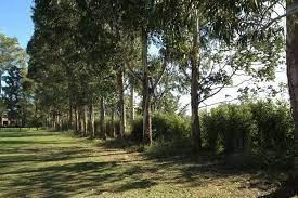 Imagen 5 de 8 de Venta Lote En Barrio Santo Tomas- Pilar-