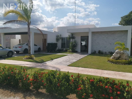 Imagen 1 de 18 de Renta Casa De Un Piso En Privada Blue Cedar Con Amenidades En Komchen Merida Yucatan
