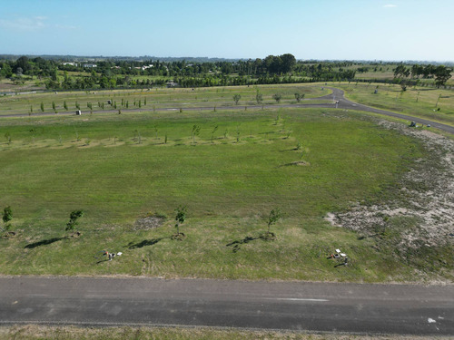 Venta De Terreno En Los Olivos De Los Horneros