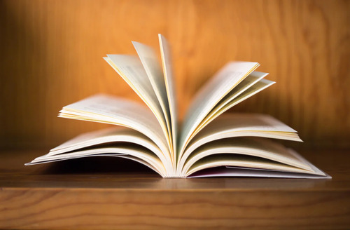 Lujuria. Libro 1