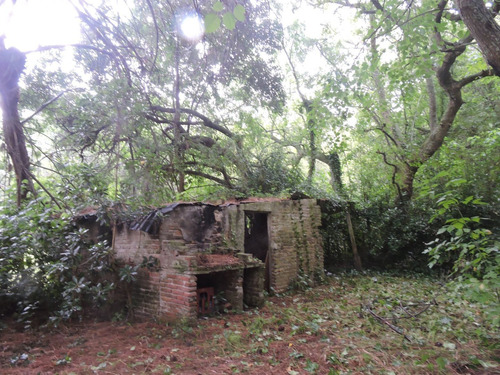 Imagen 6 de 9 de Casa En Punta Indio
