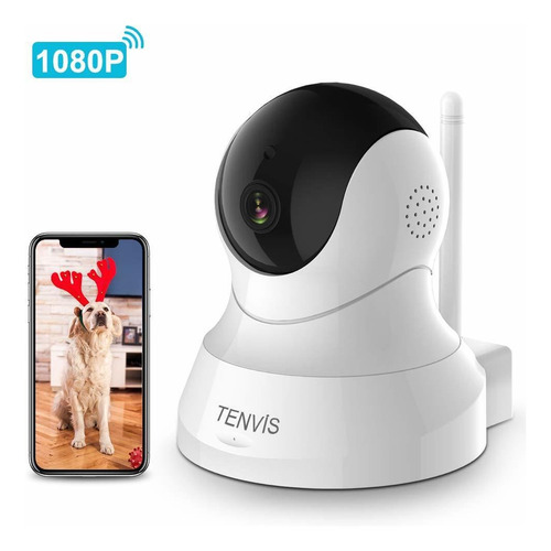 Camara De La Camara P Perro Mascota Con Camaras De Segu...