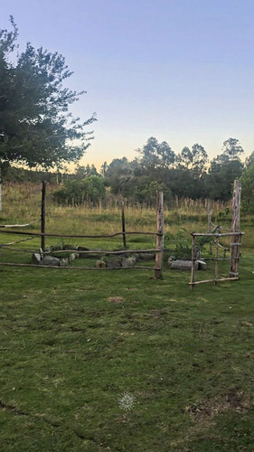 Chacra En Venta Maldonado, Gran Tapera Rec. 240m De Arroyo (ref: Bpv-10530)