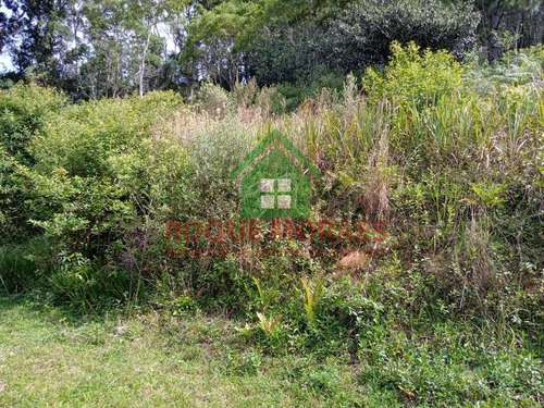 Imagem 15 de 15 de Chácara À Venda Em Juquitiba Sp Medindo 3800m² Ref.: 0966
