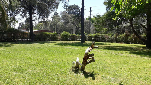 Imagen 3 de 5 de Terreno - Carumbe