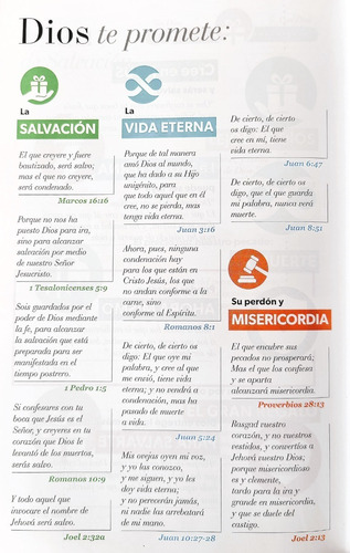 Imagen 9 de 10 de Biblia Reina Valera 1960 Letra Grande Manual Cierre Arcoiris