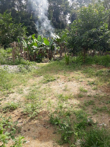 Imagem 23 de 23 de Vendo Chácara Aconchegante Com 700 M2 ( Aceita Proposta)