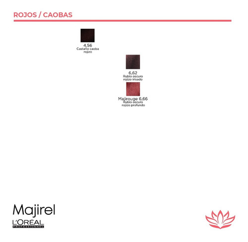 Imagen 6 de 7 de Kit X12 Tinturas Majirel X50grs Loreal Professionel