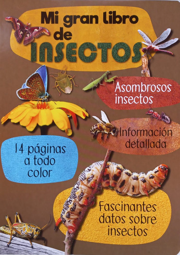 Mi Gran Libro De Insectos