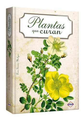 Plantas Que Curan 