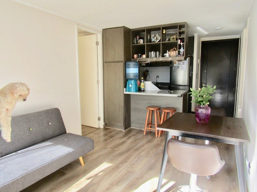 Departamento Impecable En Ñuñoa, 2 Dormitorios.
