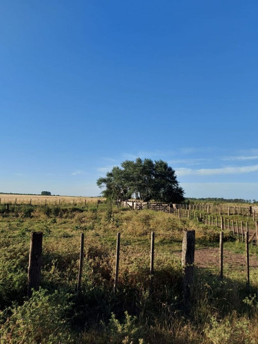 Imagen 16 de 17 de Campo En Venta En Pta Indio
