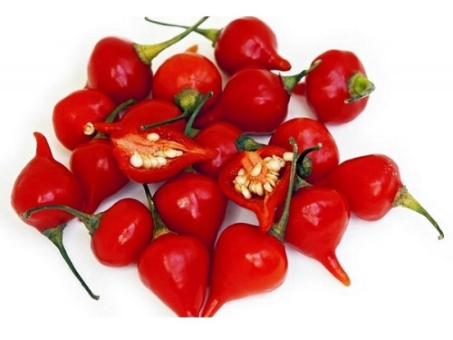Sementes De Pimenta Iracema Biquinho Vermelha 340 Sementes