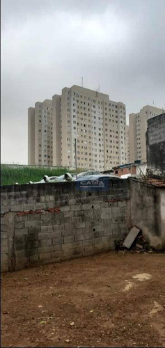 Imagem 24 de 30 de Terreno À Venda Na Vila Carmosina - Te1683