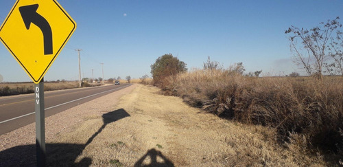 Vendo Importante Finca San Rafael Mendoza