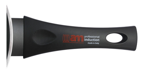 Wok Sarten 28 Cm Antiadherente Italia Apta Induccion 3,5 Mm