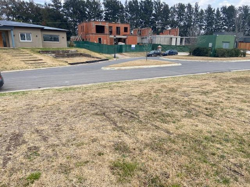 Imagen 3 de 4 de Terreno - Pilara