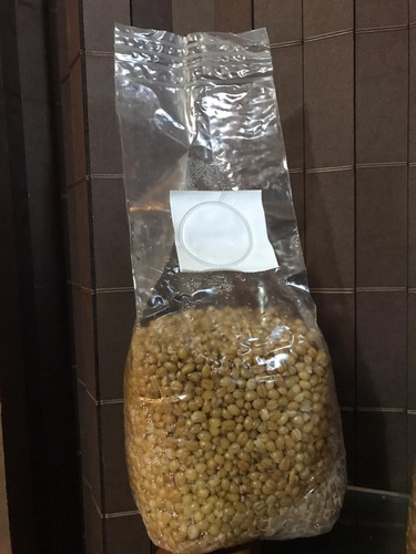 Grano Trigo Esteril Autoclavado 1200cc