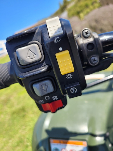 Imagen 8 de 24 de Honda Trx 250