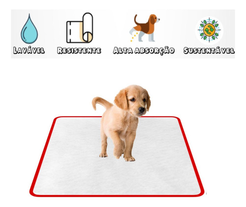 Sanitário Canino Higiênico - Banheiro Para Cães Xixi Facil