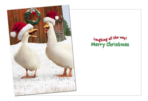 Avanti Press Tarjetas De Navidad Con Sobres, Quackers De Vac