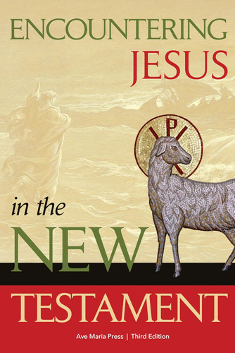 Libro: Encountering Jesus In The New Testament