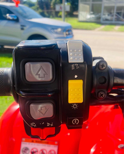 Imagen 6 de 7 de Honda Trx 420