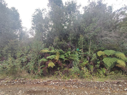 Parcela Con Terreno 1 Hectarea Ruta V50 Pasado 4 Km De Nuev