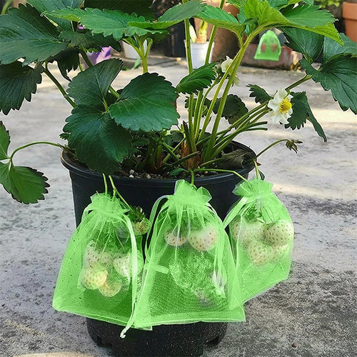 Bolsas De Malla Para Proteger Frutas, Bolsas De Malla,100pcs
