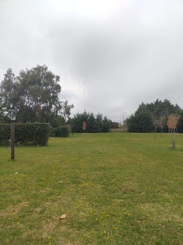 Imagen 13 de 16 de Chacra - Gualeguay