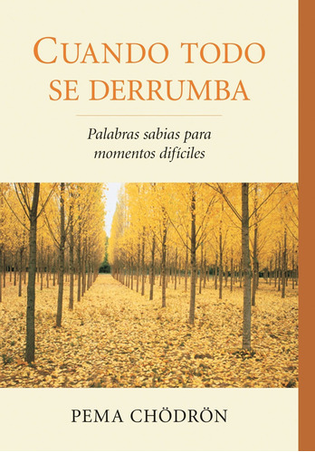 Libro Cuando Todo Se Derrumba (when Things Fall Apart): Pa