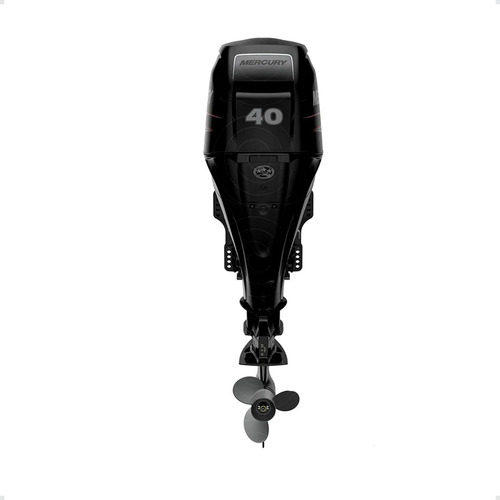 Motor Mercury 40 Hp 4 Tiempos Pata Larga Bariloche