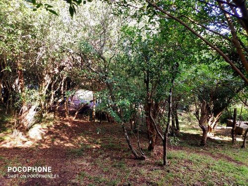 Imagen 3 de 22 de Alquiler Cabaña Los Pololos - Villa Serrana