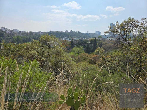 Venta Terreno Acueducto Bosque Real Con 2 Indivisos