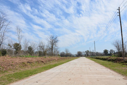 Nave Industrial En Alquiler De 16.000m2 En Parque Industrial Moreno 2 - Pim2
