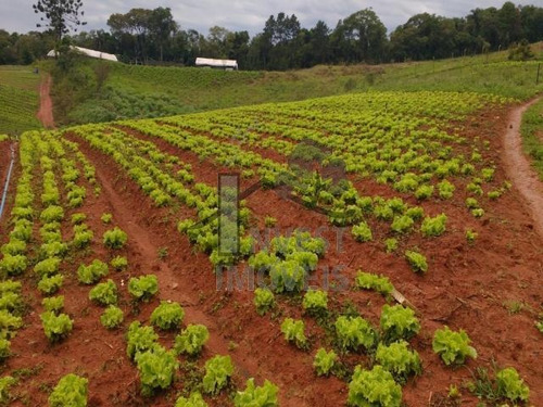 Imagem 2 de 5 de Cód 2472 - Ótimo Terreno, Oportunidade - 2472