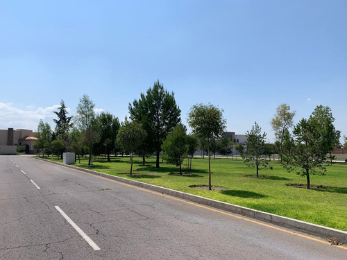 Imagen 3 de 9 de Terreno En Venta En Exclusivo Desarrollo: Santa Paulina. 150