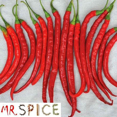 200 Sementes Pimenta Cayenne Comprida.