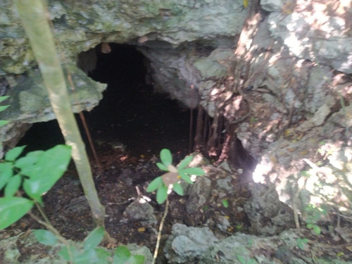 Rancho En Venta Con Cenotes En Excelente Zona Ganadera Del Estado De Yucatán