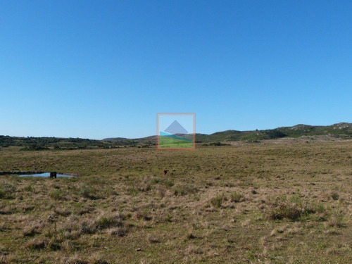 Imagen 7 de 30 de 79 Hás Campo Criador Y Serrano En Corte De La Leña